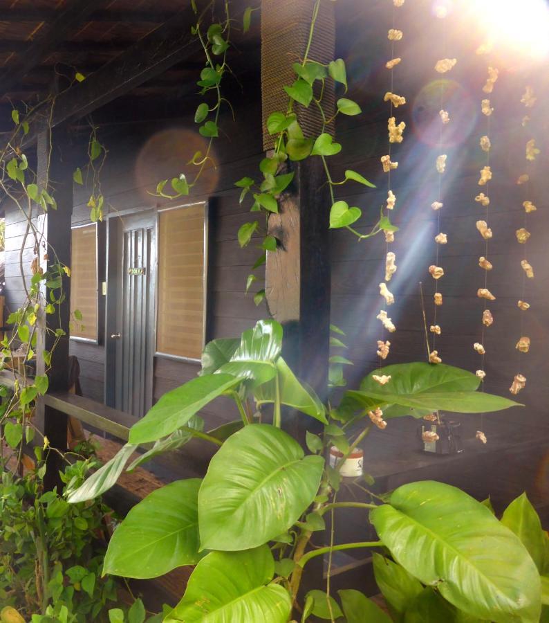 Cliff Garden Hostel Siquijor Exterior photo