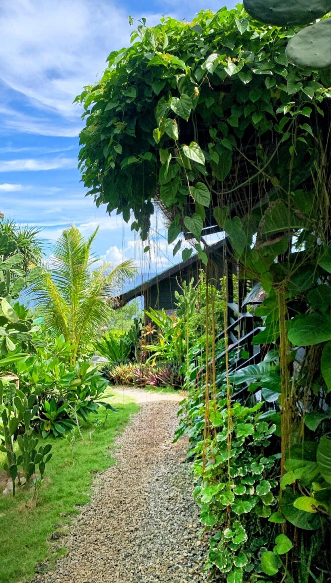 Cliff Garden Hostel Siquijor Exterior photo